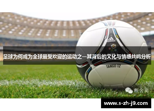 足球为何成为全球最受欢迎的运动之一其背后的文化与情感共鸣分析