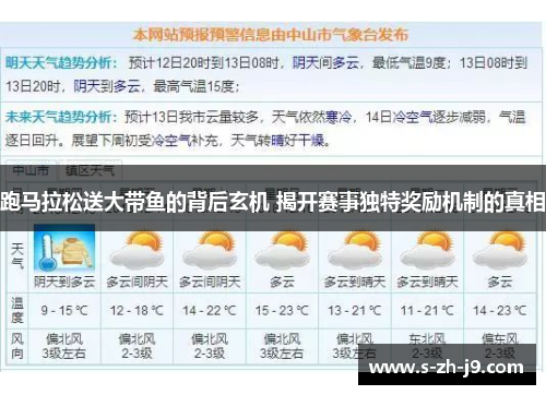 跑马拉松送大带鱼的背后玄机 揭开赛事独特奖励机制的真相
